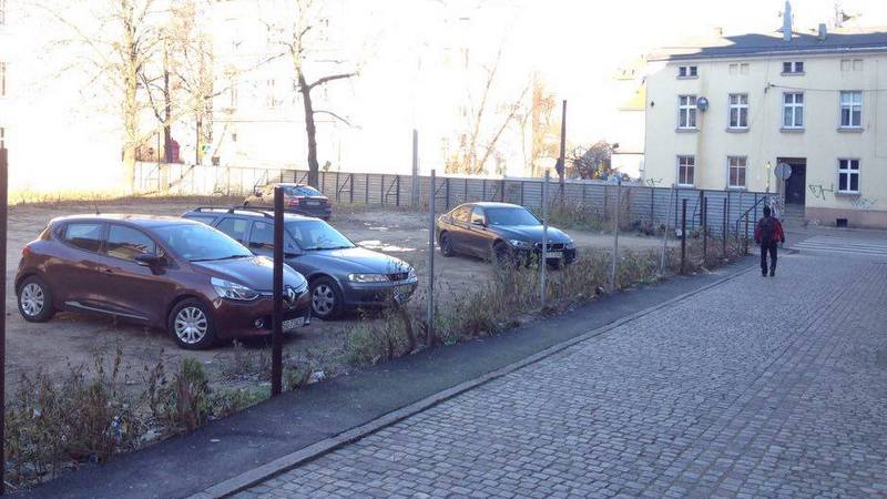 dziki-parking-synagoga
