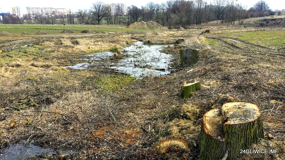 Wilcze doły” znikają. Budowa obwodnicy to też koniec tego urokliwego  miejsca (galeria) – 24GLIWICE – Portal Gliwice | codziennie nowe informacje