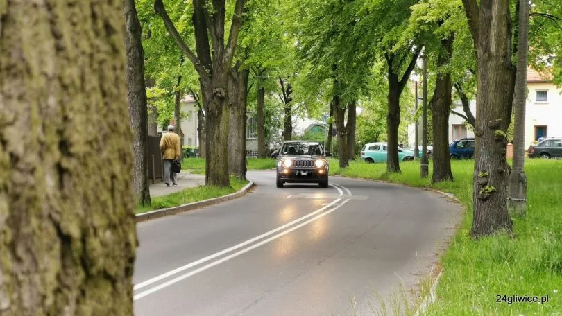 lipy gliwice