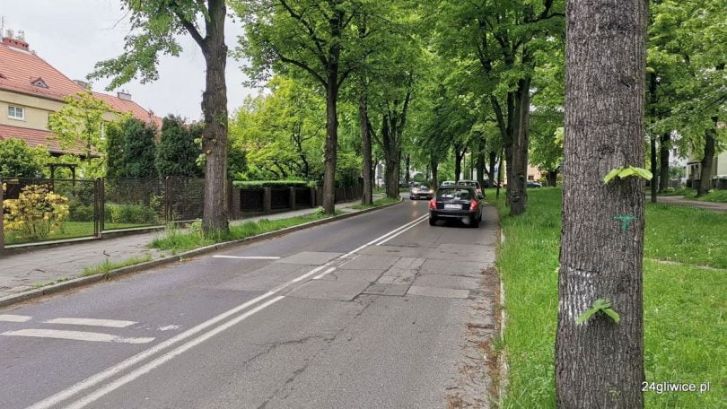 lipy mickiewicza gliwice