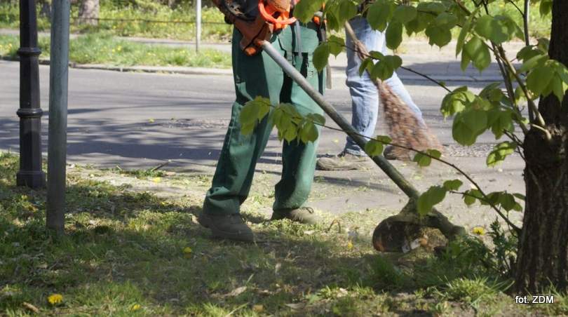 ograniczenie koszenia traw gliwice