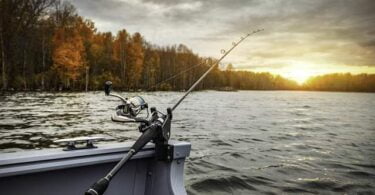 sygnalizatory wędkarskie