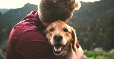 Bezuciskowe szelki dla psa