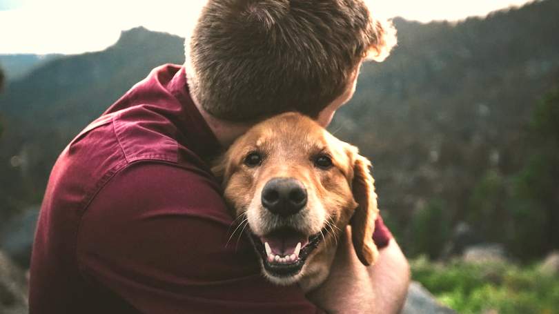 Bezuciskowe szelki dla psa